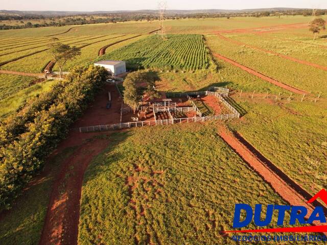 #91 - Fazenda para Venda em Santa Vitória - MG