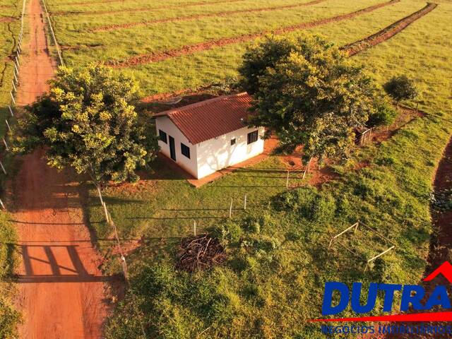 #91 - Fazenda para Venda em Santa Vitória - MG