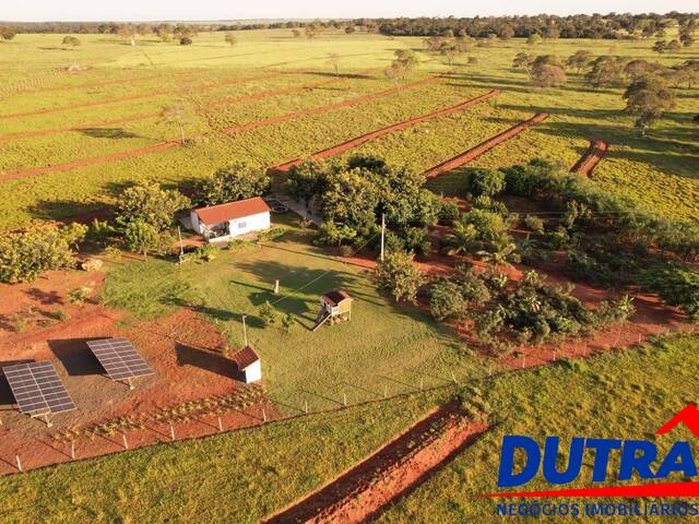 #91 - Fazenda para Venda em Santa Vitória - MG