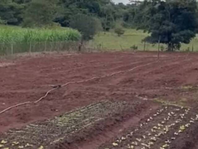 #173 - Chácara para Venda em Ituiutaba - MG